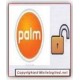 Unlock Palm